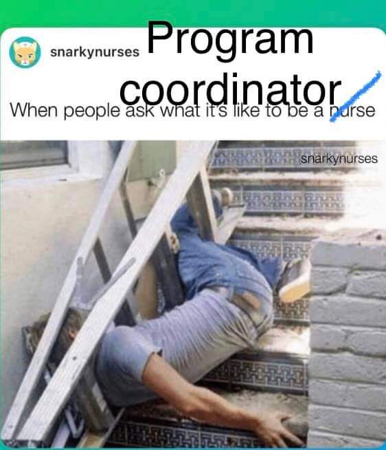Sandi Palma (@sandigram77) on Twitter photo Shamelessly stolen from someone in the #GME admin FB group #relatable #PClyf Shamelessly stolen from someone in the #GME admin FB group #relatable #PClyf
