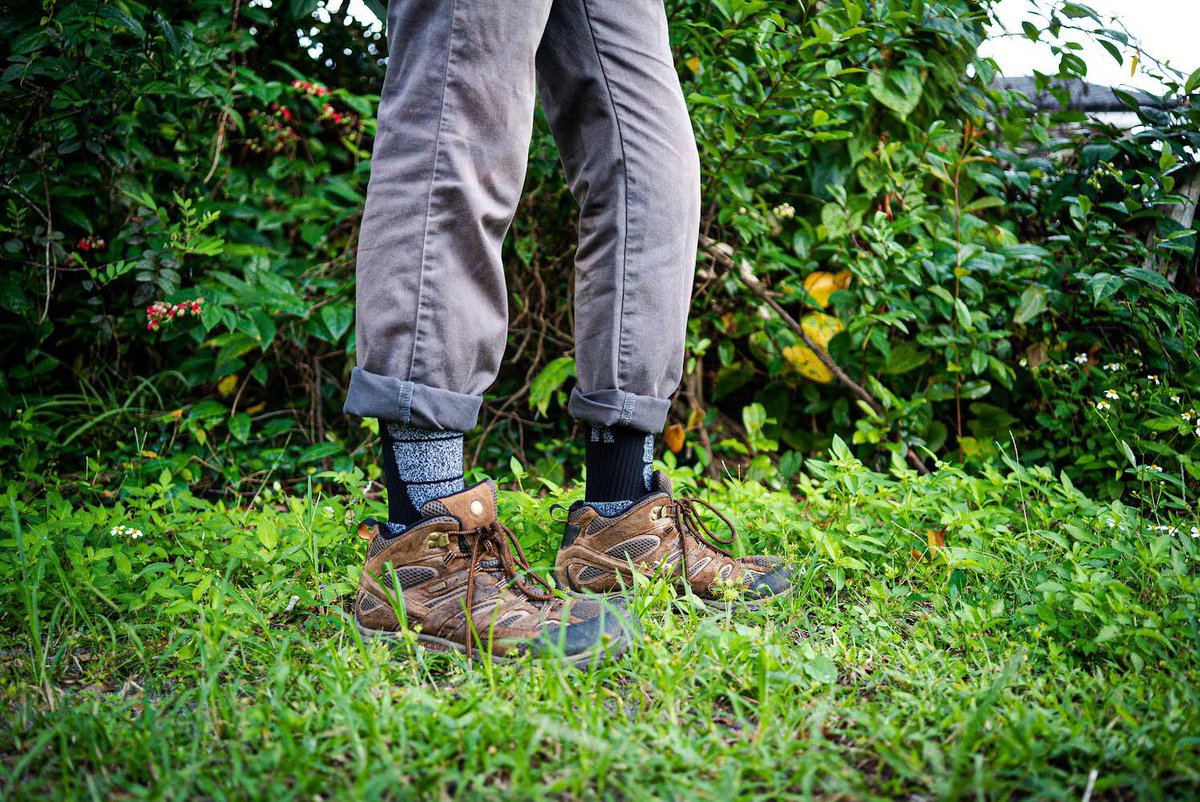 keecowsocks's tweet photo. Green Green Green! Nature are the best gift
#outdoors #hiking #keecowsocks https://t.co/Ngftihn1kU