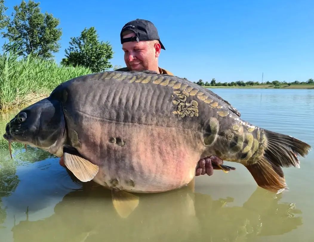 FISHINGBASSEMP's tweet photo. Reposted from tomhofner Dream BIG catch BIGGER 
#fishing #bass https://t.co/R15glqJ9dX