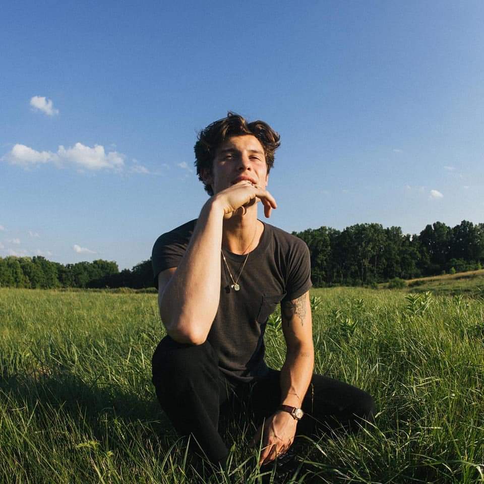 piieceofjjk's tweet photo. Estoy enamorada de un leo, afortunadamente es Shawn Mendes https://t.co/1JI2qRjXdg