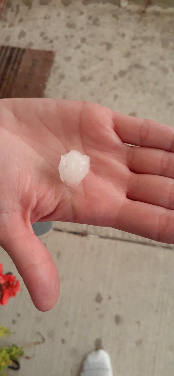 JCtwister3's tweet photo. @NWSChicago Almost quarter sized https://t.co/AQQPWCbNdw
