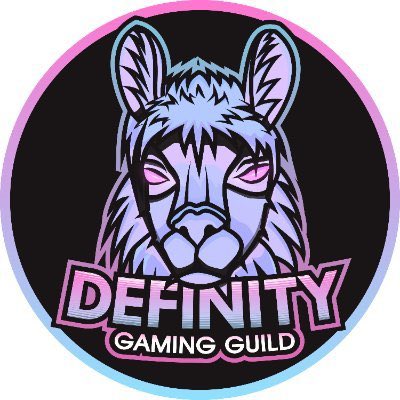 nanahmariia's tweet image. it’s been a while @DefinityGG 
Missing the hype!