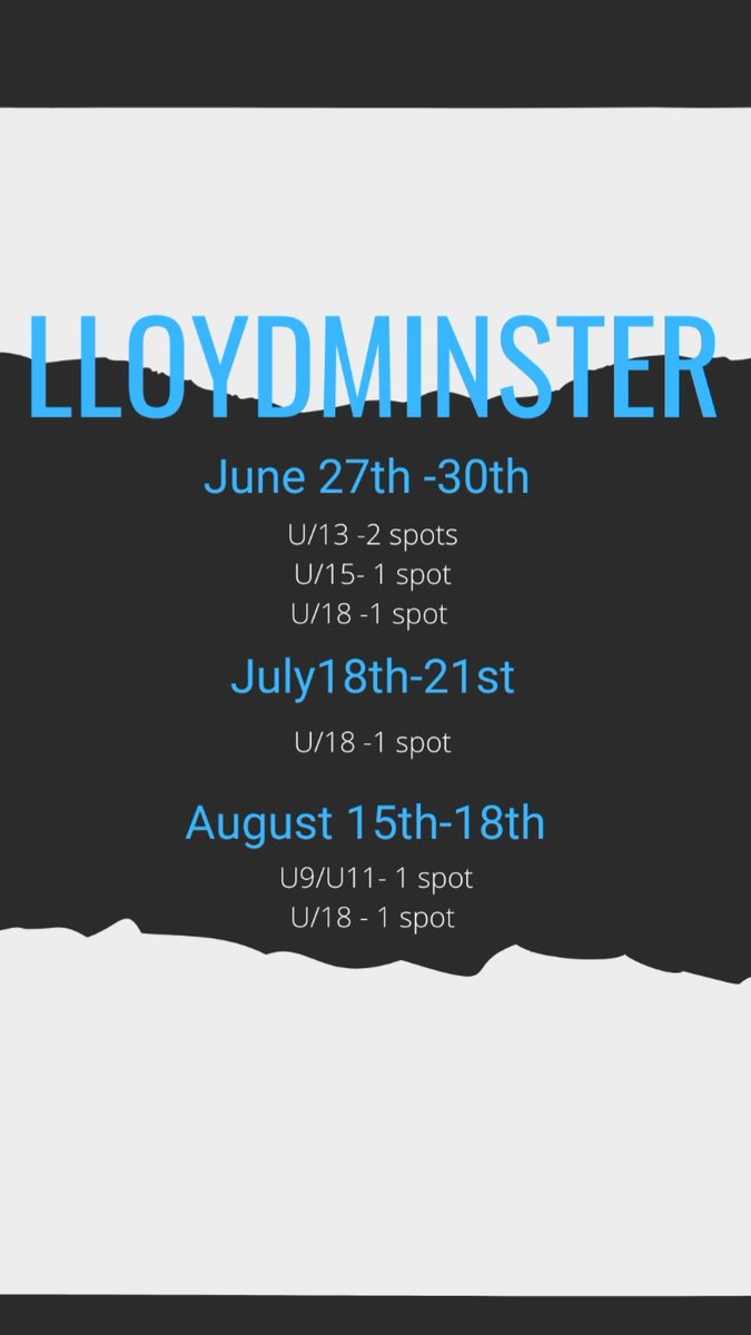 Making Stridz tweet media