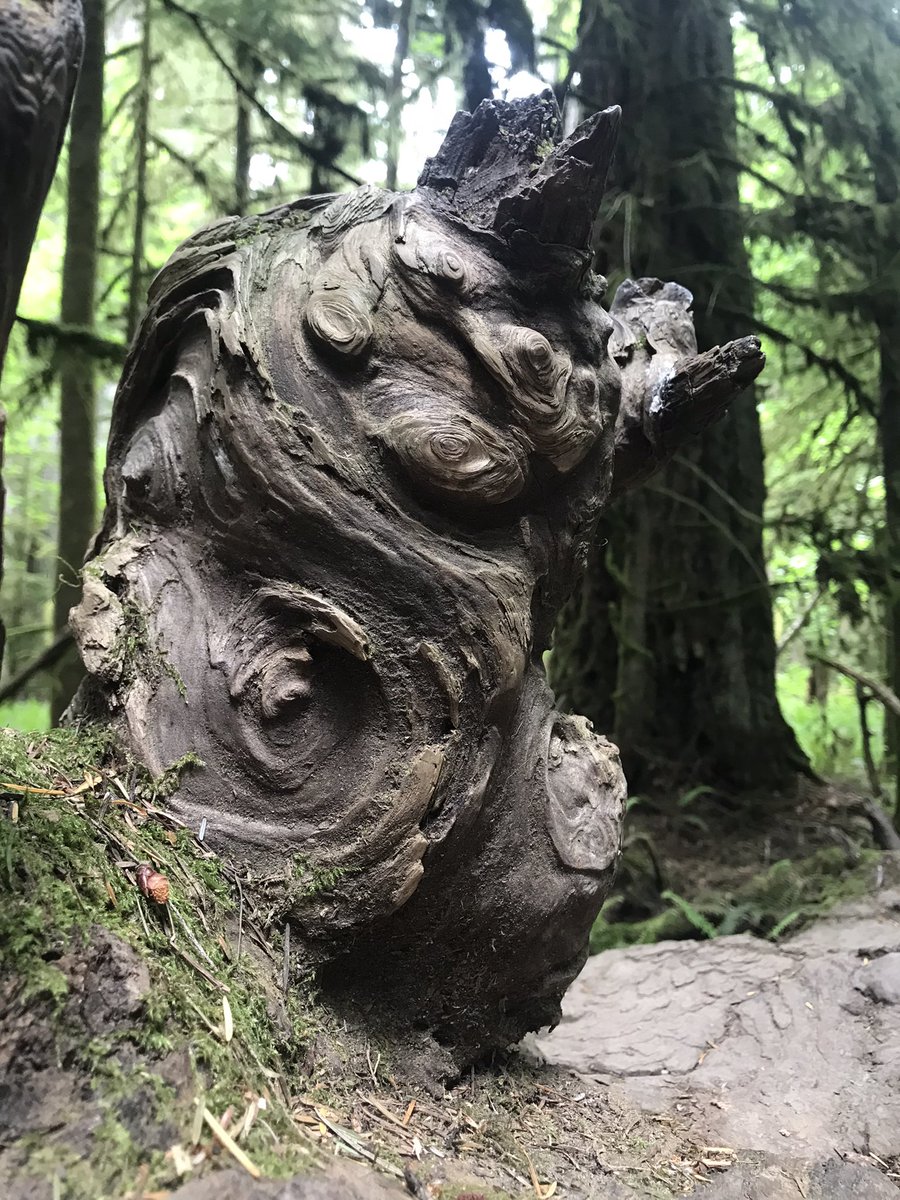 Sarah Hennessy (@hennessywonders) on Twitter photo @AffricaTaylor <a href="/vpacinik/">Veronica Pacini-Ketchabaw</a> assembling common worlds is always a knotty adventure <a href="/VIUniversity/">VIU</a> with <a href="/UlamMalu/">Malvika</a> <a href="/NardaNelson/">Narda Nelson</a> <a href="/kellymacalpine/">kelly macalpine</a> <a href="/Adrianne_castro/">Adrianne Bacelar de Castro</a> <a href="/maureencullen/">Maureen Cullen</a> <a href="/TATIANAatPLAY/">Tatiana Zakharova-Goodman</a> <a href="/coryjobb/">Cory Jobb</a> John drew @AffricaTaylor <a href="/vpacinik/">Veronica Pacini-Ketchabaw</a> assembling common worlds is always a knotty adventure <a href="/VIUniversity/">VIU</a> with <a href="/UlamMalu/">Malvika</a> <a href="/NardaNelson/">Narda Nelson</a> <a href="/kellymacalpine/">kelly macalpine</a> <a href="/Adrianne_castro/">Adrianne Bacelar de Castro</a> <a href="/maureencullen/">Maureen Cullen</a> <a href="/TATIANAatPLAY/">Tatiana Zakharova-Goodman</a> <a href="/coryjobb/">Cory Jobb</a> John drew