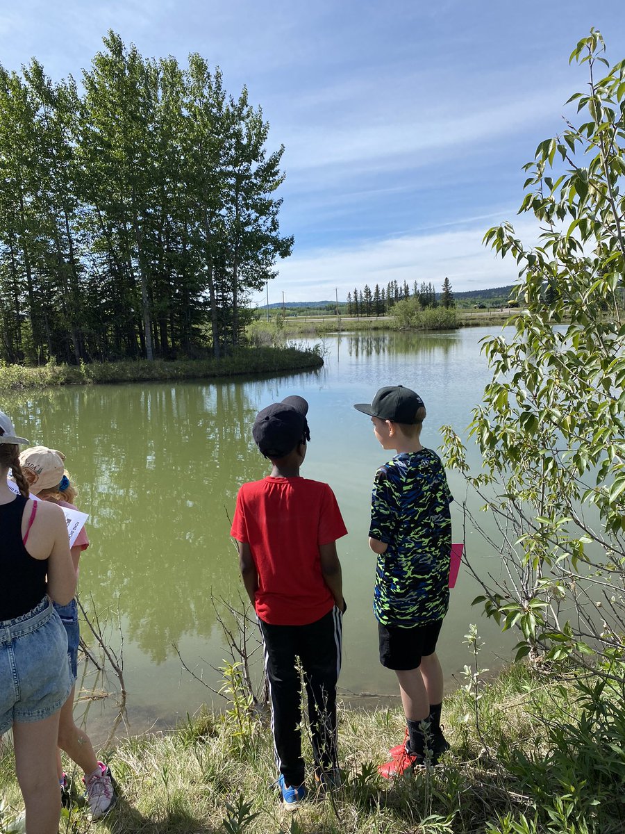 Enjoying our time at Outdoor School. Thanks to the staff at Kamp Kiwanis for such a wonderful learning experience. ❤️<a href="/BelParkCBE/">Bel-Park School CBE</a>