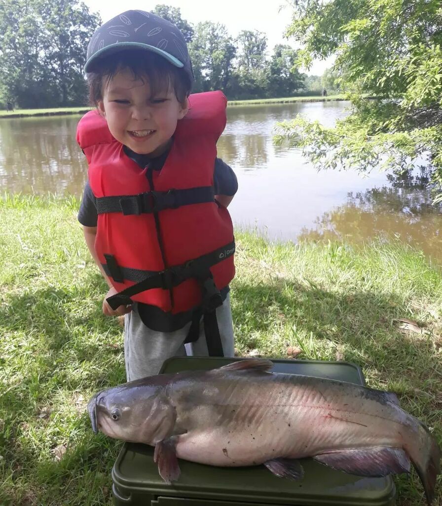 Little man CRUSHED IT today on his first assisted #catfish landing! Got out there to take advantage of LDWF's #getoutandfish stocking program and gott him a big kitty.

#fish #fishing #fishnerd #cajunfishing #catfishing #channelcatfish
#ldwf #ldwfgetouta… instagr.am/p/CexLUn2rkeH/