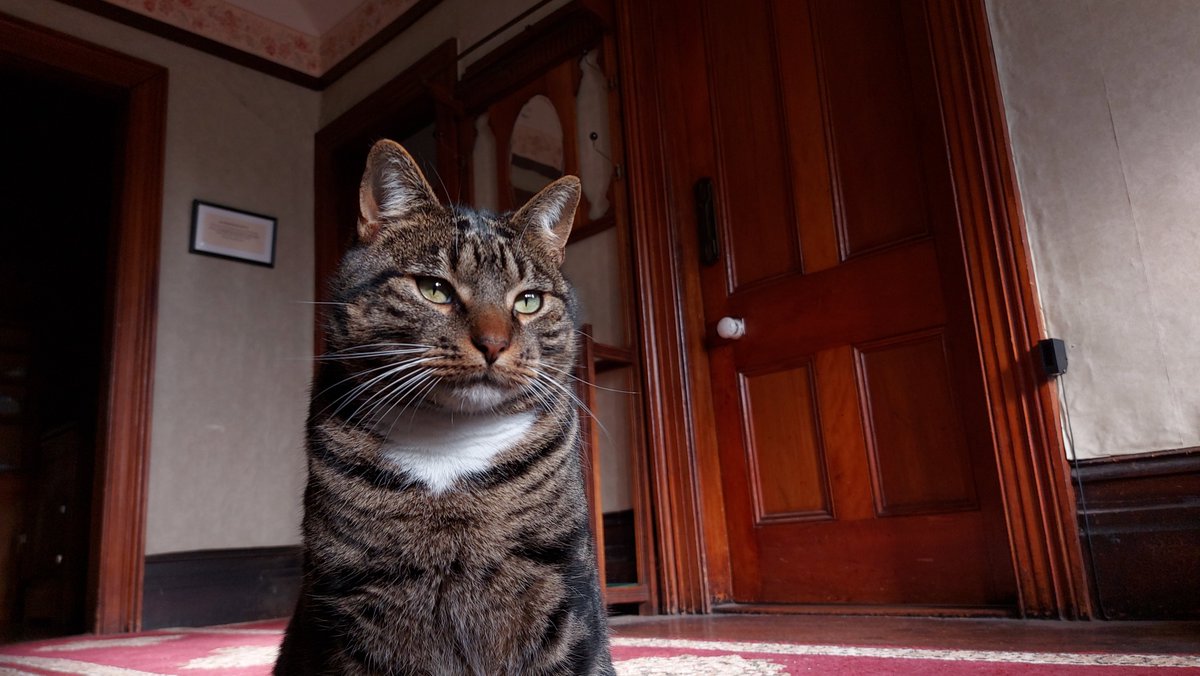 Te Manawa tweet media