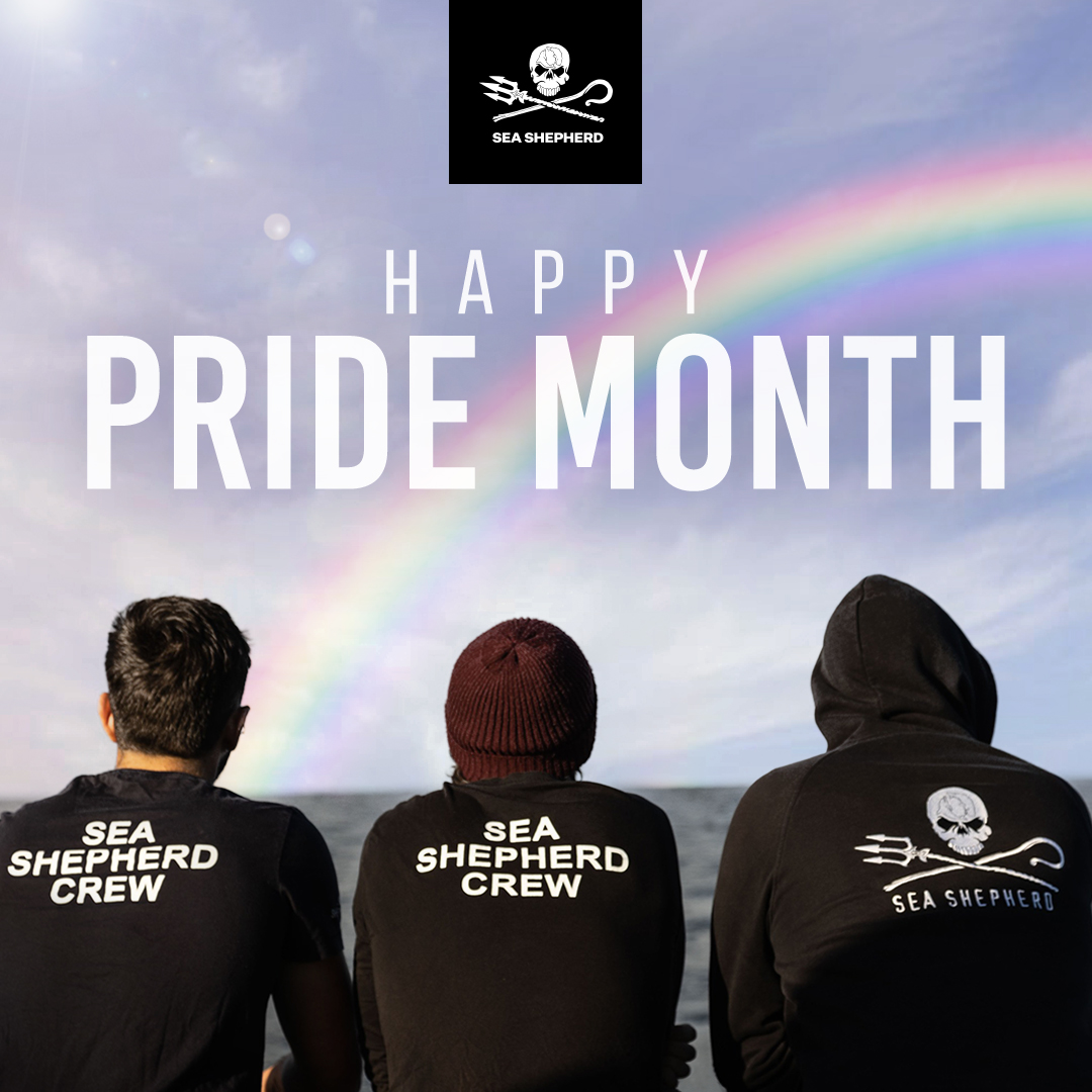 SeaShepherd_Aus's tweet photo. Happy #PrideMonth! At Sea Shepherd Australia we are incredibly proud to have a diverse and inclusive community of volunteers, staff and supporters who stand together for our precious blue planet. ✊🌈🌏
 
A huge thank you to our awesome, diverse community! https://t.co/iuvGFwGEa0