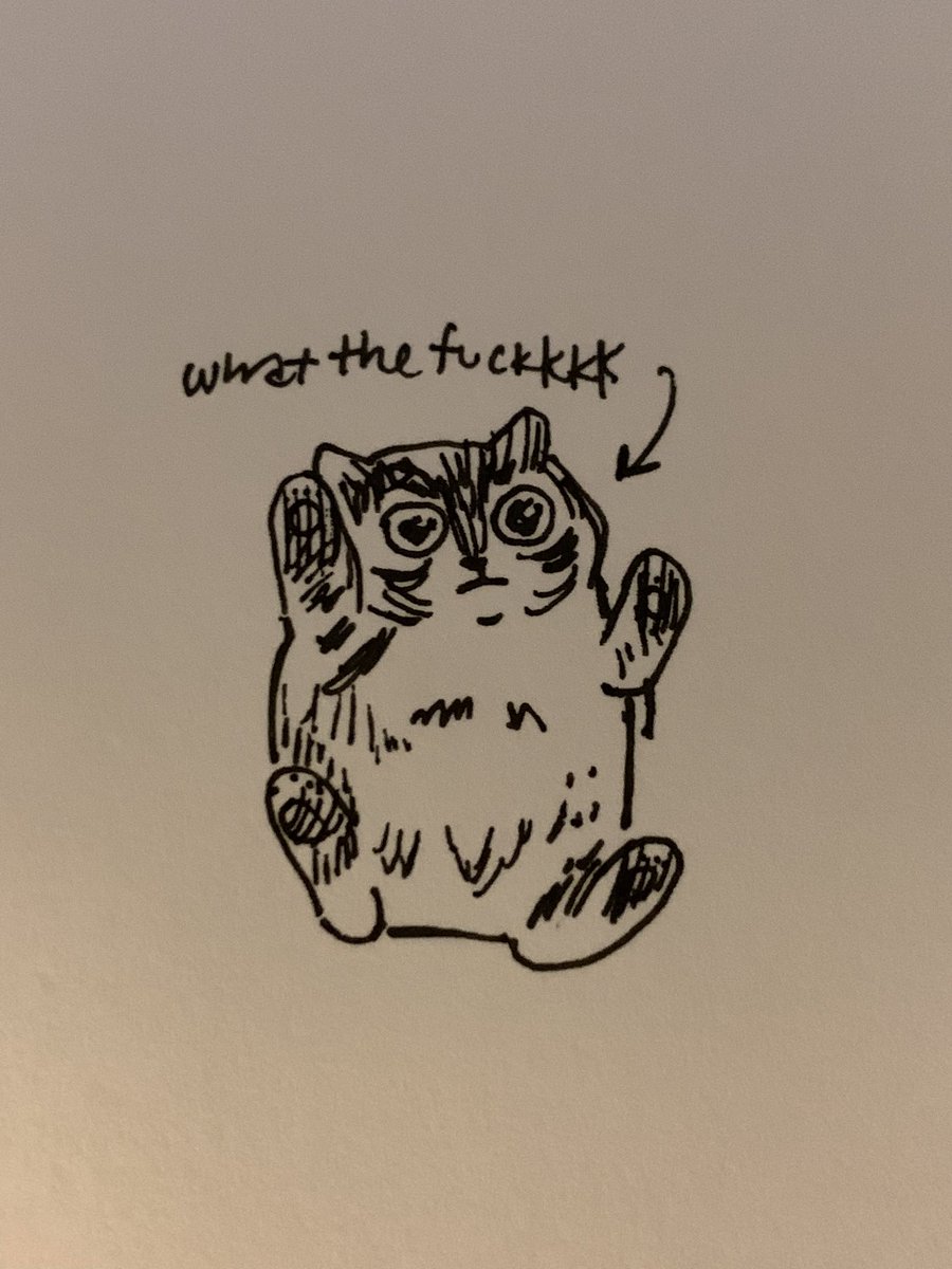 cat in the lrt 