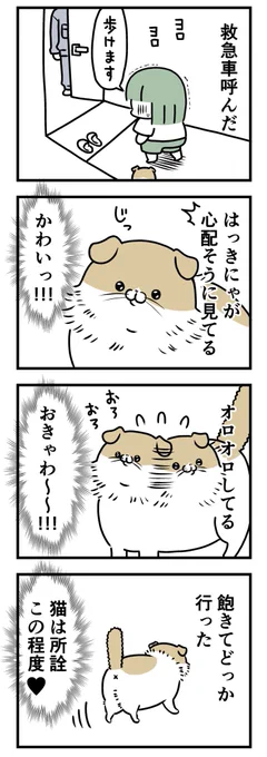 猫可愛い 

https://t.co/0vL3Xshx8F 