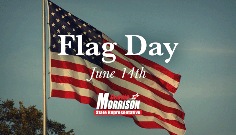 Geanie Morrison tweet media