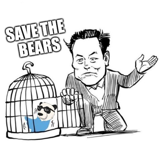 right_history82's tweet photo. @elonmusk only a sleuth of @Not_OkayBears could save a bear market https://t.co/jQwZMAkMoP