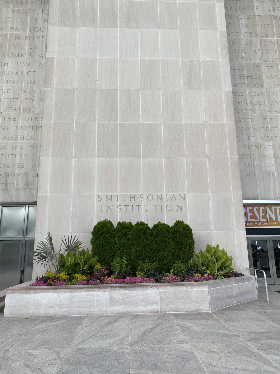 Alief International Academy tweet media