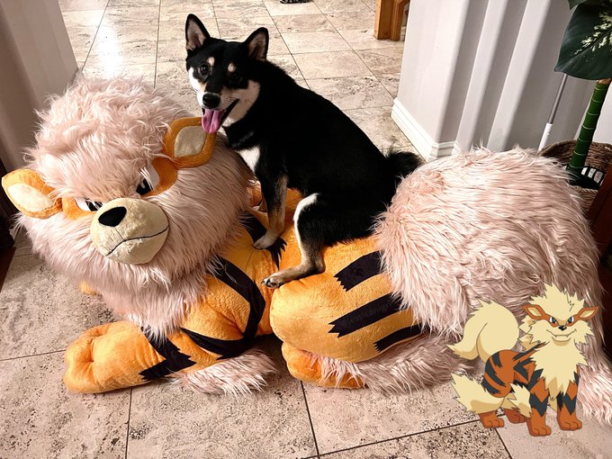 Best purchase ever. https://t.co/L3MKYRxoQU<a href="/tag/silenthill2remake"class="tags"><span>#silenthill2remake</span></a>