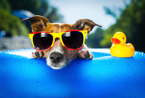 Our last meeting before a summer break is this Tuesday, June 21. The theme is Fun In The Sun #toastmasters #june #strathco