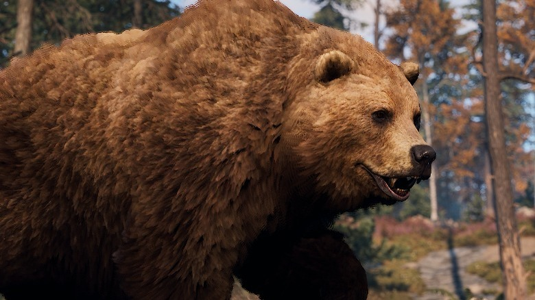 NeoxaNet's tweet photo. Sometimes bear markets can be brutal! Mining cryptocurrency during the #Cryptocrash can be hard. Want to kill the bear? Come do it on the Neoxa Proof of Game Rust server! It won't fix the market but you will earn $NEOX https://t.co/qNtoKRUyrt