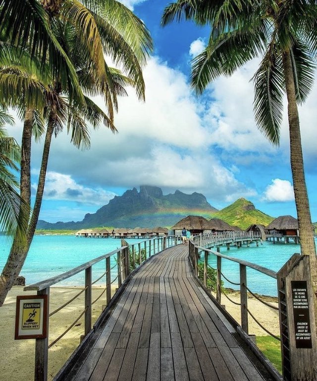 Moët & Chandon tweet media