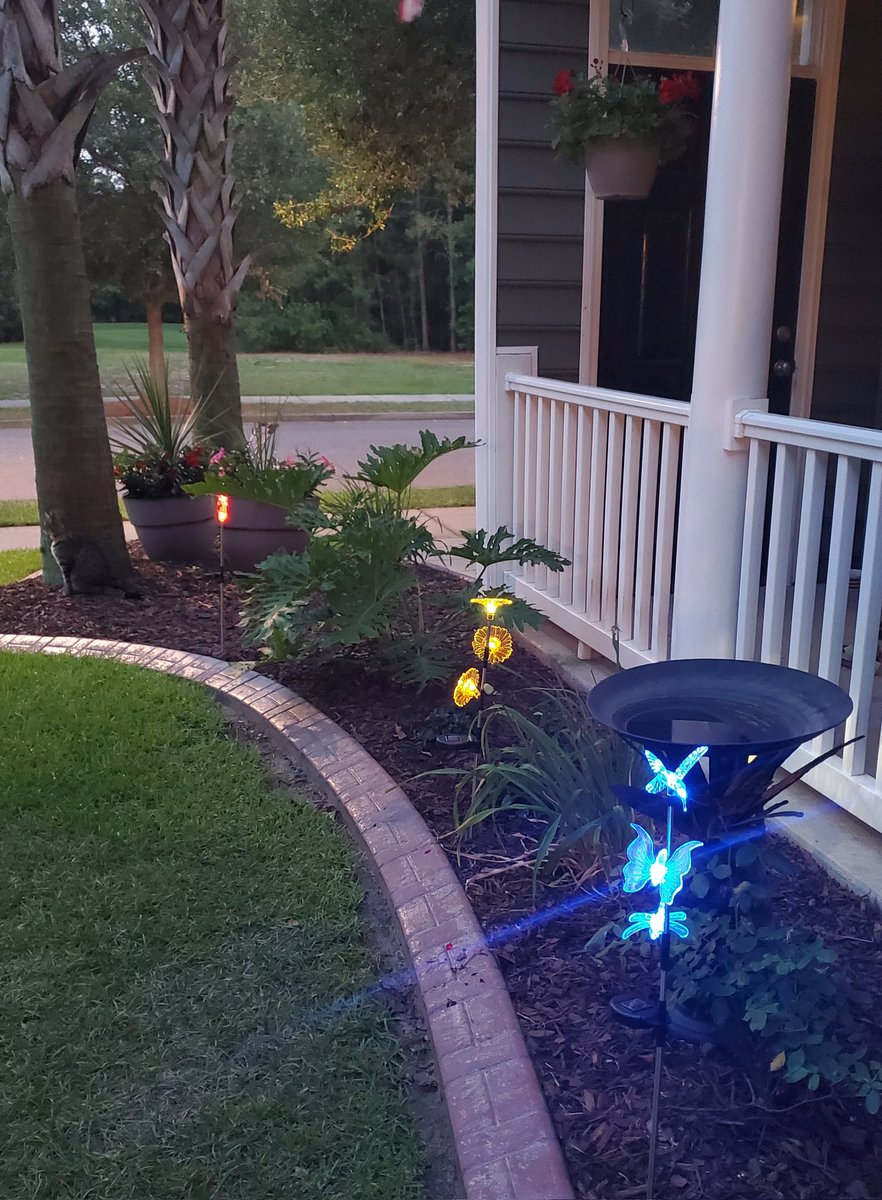 mlowetaylor's tweet photo. A real cat and @TractorSupply garden lights. https://t.co/2txfulxXci
