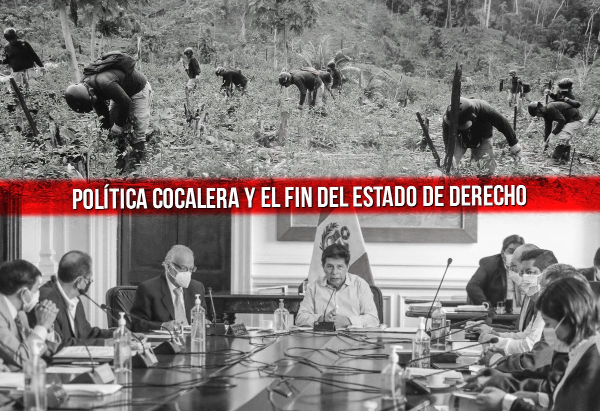 elmontonero_pe's tweet photo. #CorredorMineroDelSur #Azuca #Apurimac #LasBambas
Minorías radicales y economías ilegales de la coca quiebran unidad del Estado
Síguenos en:
FB: https://t.co/8BN6IGbDMU
Youtube: https://t.co/x2WH9DgOHF
Más Artículos: https://t.co/4sbQL4kPSo
https://t.co/3fLUatXbQK https://t.co/SdJ3Fh24jW