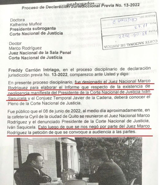 Priscila Schettini tweet media