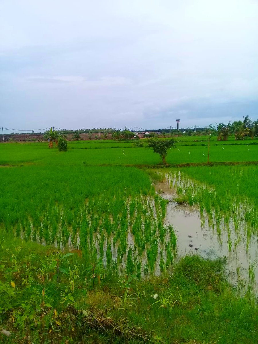 Tanah di jual di lokasi ekonomi khusus mandalika lombok ntb indonesia,
Dengan luas total 2hektar
Harga 400rb/m²
Sertifikat lengkap dan taat pajak,
Lokasi persisnya di pinggir jalan bypass menuju sircuit mandalika,
Whatsapp atau inbox langsung demi kebaikan bersama .