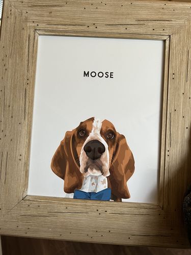 donutail's tweet photo. Welcome MOOSE

#dogslife #dogslifestyle #dogofmelbourne #dogsofsydney #dogsofbrisbane #dogslover #puppylife #puppylove #aussiedoggos #aussiedog #aussiecattledog https://t.co/eGPojk8yJe