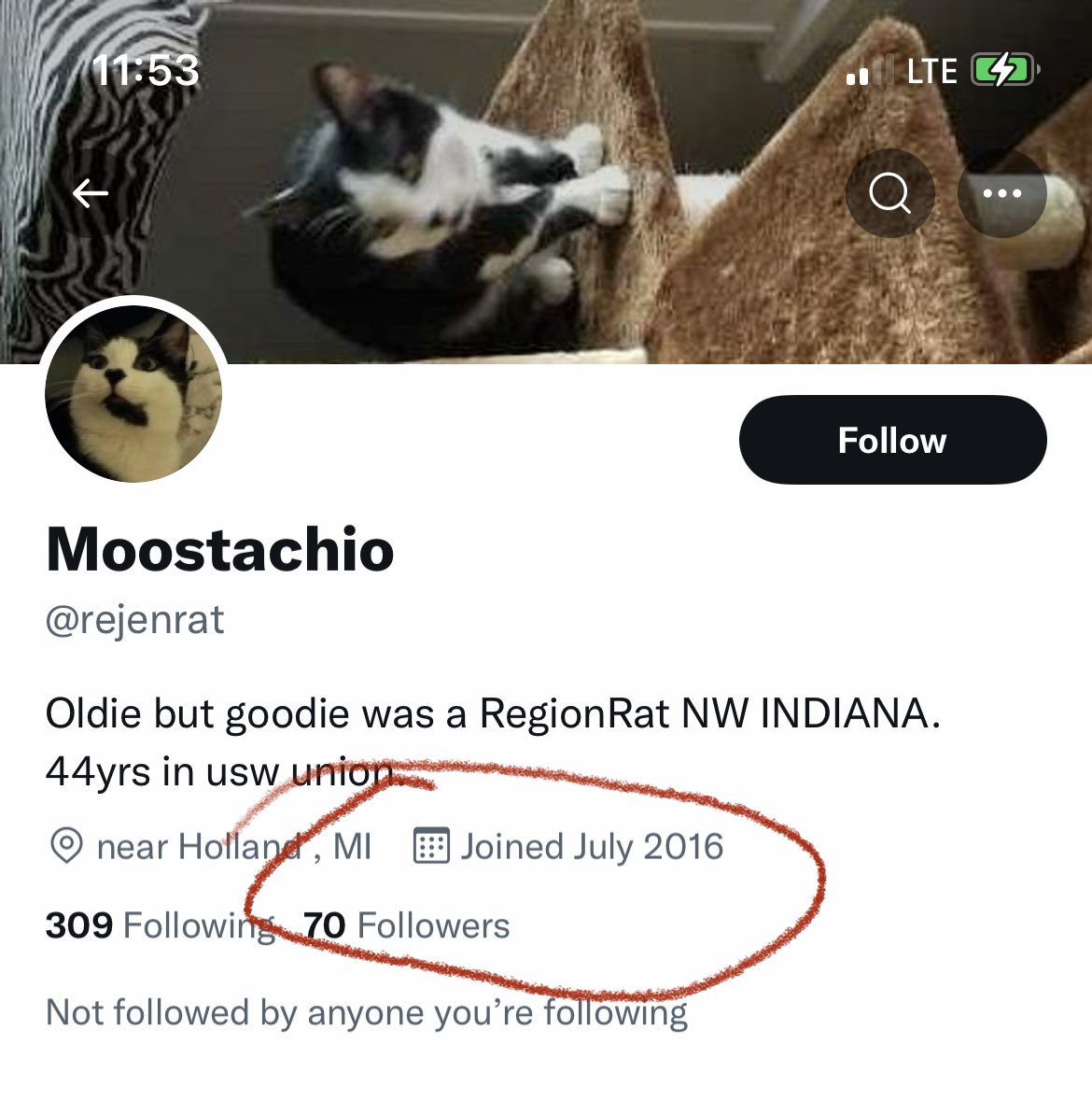 apackof2 UltraMAGA 🇺🇸🍊🐾 tweet media