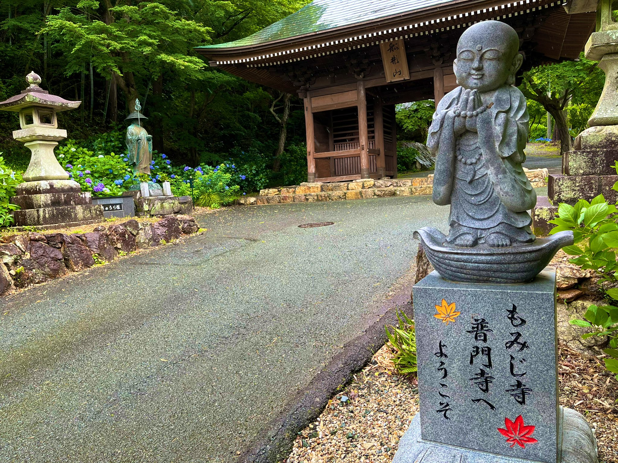West Lake 普門寺 の紫陽花 紫陽花 わ雨で濡れてた方が鮮やかで綺麗 少し山手にあるので静かです 秋わ紅葉がとても綺麗 豊橋観光 県境にあるので 湖西市観光 にも入れときます T Co Qykqyqiyla Twitter