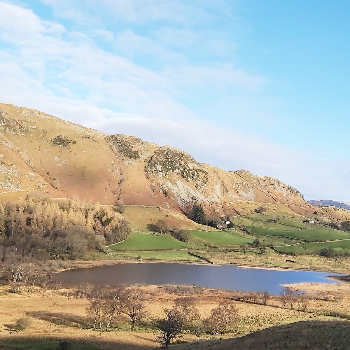 K_athrynWilson's tweet photo. Love living in this beautiful corner of the world. I thought I would share a few photographs of our Lake District wanders. Can you guess the locations?
*The painting is available to buy at Eden Gallery, Newburgh

#lakedistrict #Cumbria  #lakedistrictuk #lakedistrictart https://t.co/rDJkvQ3wxN