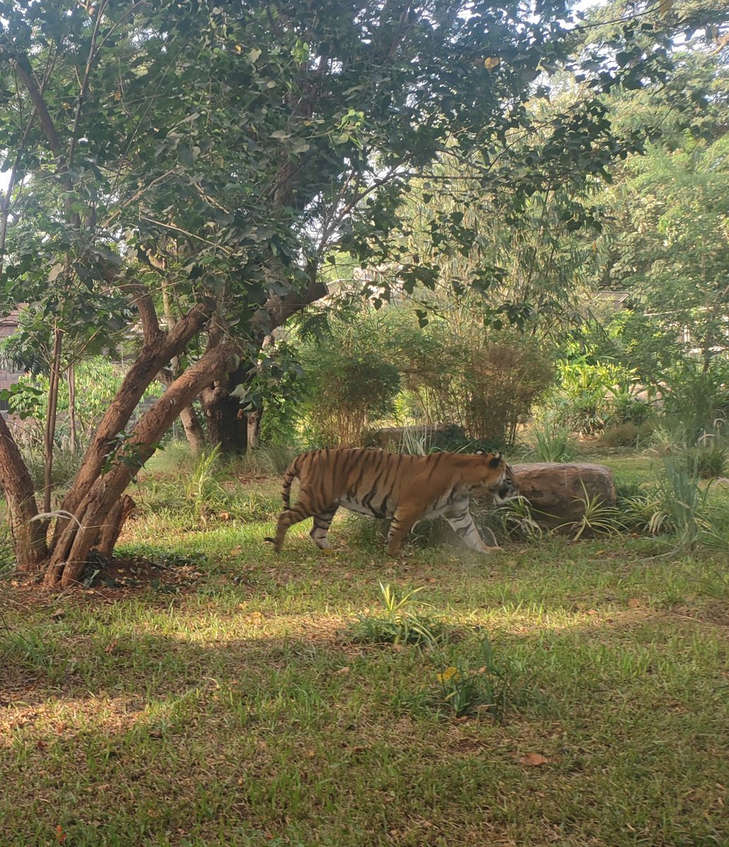 khn52's tweet image. #shotonmyphone