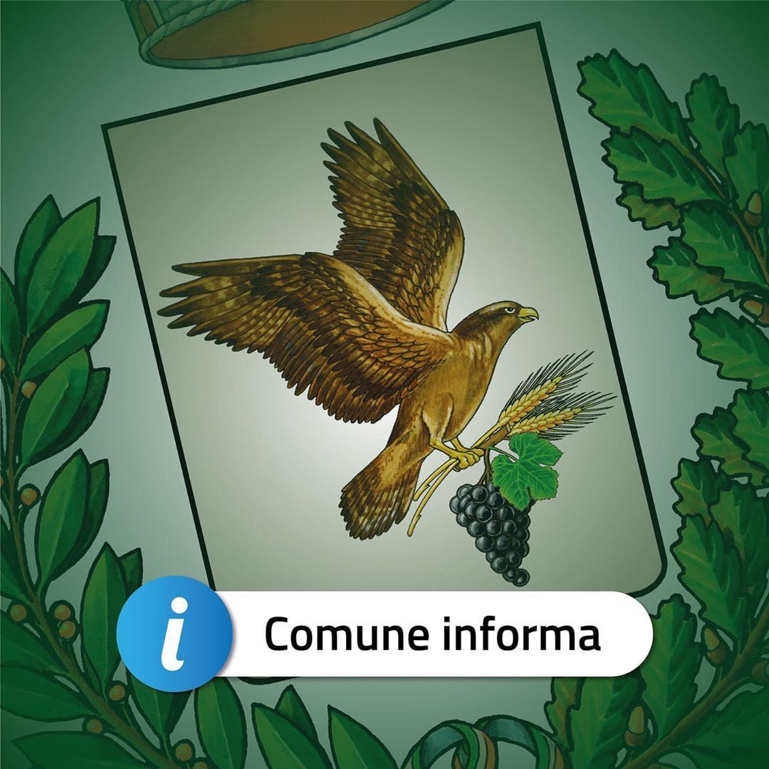 Ore 11.30, diretta streaming della proclamazione.