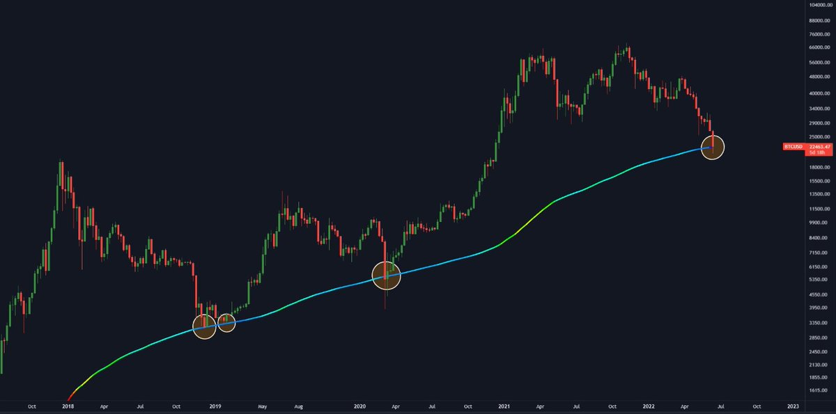 BossSquirrel tweet media