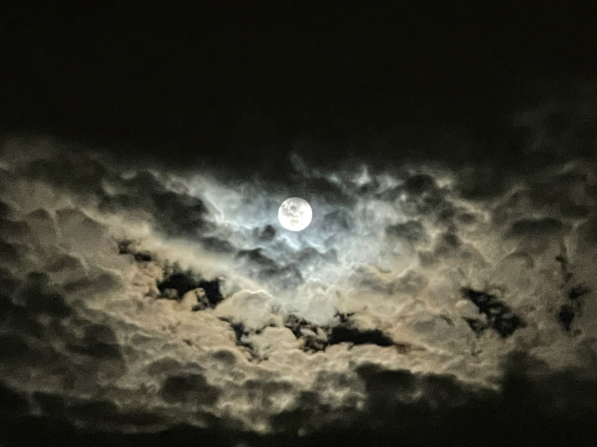 Super moon!

Time to reflect and release ♥️