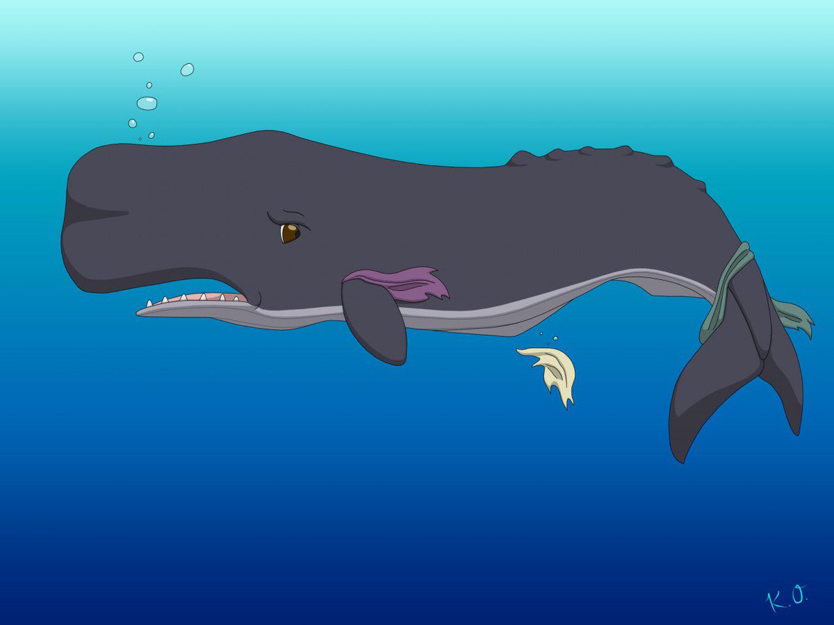 StudioNascosto's tweet photo. A whale of a #TFTuesday for you fine folks. Stay tuned later today for a glimpse of Mangiafuoco’s struggle to avoid beaching himself.
#mangiafuoco #whalecurse #thatwhichisunseen #studionascosto https://t.co/2B6D15jgiJ