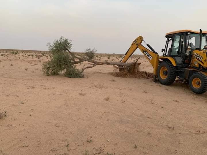 Vishnusayala's tweet image. #सोलर_कम्पनियों_से_खेजड़ी_बचाओ
सोलर कम्पनियाँ  पर्यावरण को तहस नहस करने में लगी हुई है .राज्य की सरकार का  सोलर कम्पनियों को मौन समर्थन है …..
#Save_environment
#savekhejdi 
@PMOIndia @Greenman_narpat
@RajCMO @narendramodi @ashokgehlot51 @ForestRajasthan @CMHelpdesk