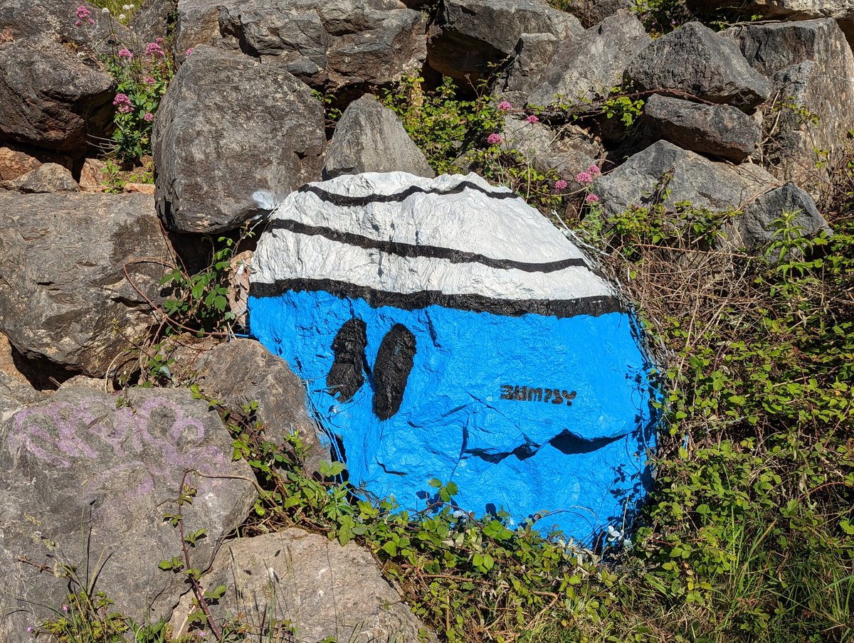 Original Bumpsy Spotted, Avon Gorge, #Bristol
