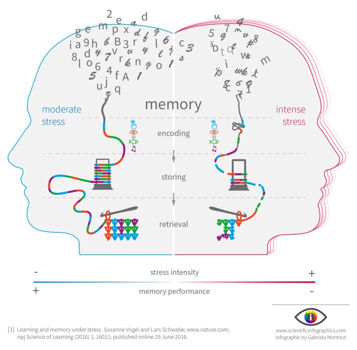 sciencegraphiks's tweet photo. STRESS RISKS ON HEALTH
The human body is designed to experience stress and react to it. When we experience changes (stressors), our body produces physical and mental responses. 
#stress #memory #brain #Health #work #overtime #analytical #vocabulary #reasoning https://t.co/usLwUpiH4r