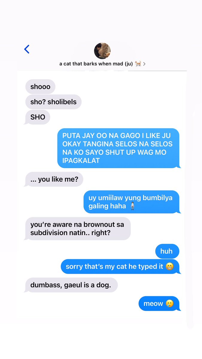 wonpsyche's tweet photo. my oblivious kitten, 
a #hoonwon / #sungwon au.

sho (psh) will always be sure with his choices when it comes to his bestfriend, ju (yjw). but what if one day, ju will be his reason to start doubting himself and his existence? the things he do for love, will it be worth it? https://t.co/NcH1kK8aAy