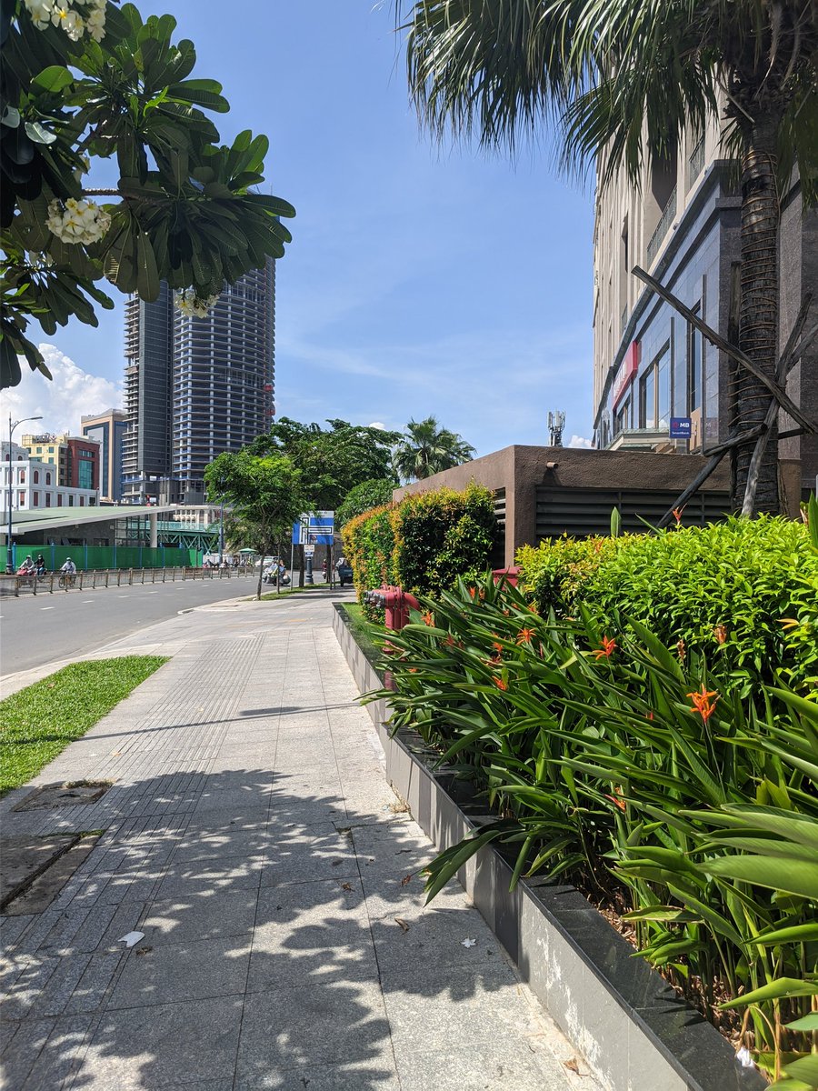 minimalnerd1's tweet photo. GCam on OnePlus 8 Pro is giving me great results compared to stock camera ๐ #oneplus8pro #gcam #onepluscamera https://t.co/0gzy7AJuoK