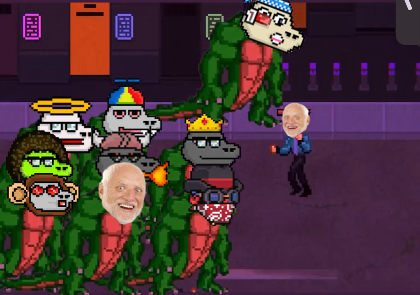 Good Luck Gators tweet media