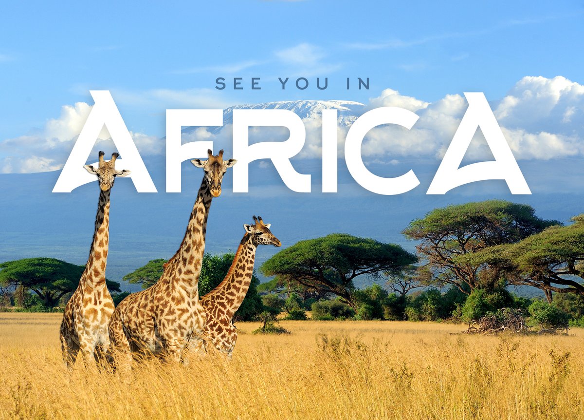 ClickAviation's tweet photo. Due to our great connections with CAAs and deep-rooted presence in Africa, flight permits can be easily obtained in:

Chad
Somalia
Congo Brazzaville
Mozambique
Gambia
Cape Verde
DROC
Benin
Malawi
Cameroon

Click can also facilitate your flight permits in difficult locations. https://t.co/W8SXAIAL6S