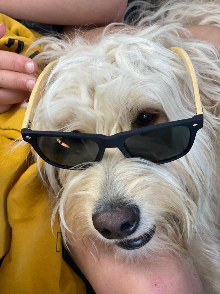 Het is weer tijd voor de zonnebril!
Deze met houten pootjes staat werkelijk iedereen. Heeft u hem al?
#Lampegroup #zomer