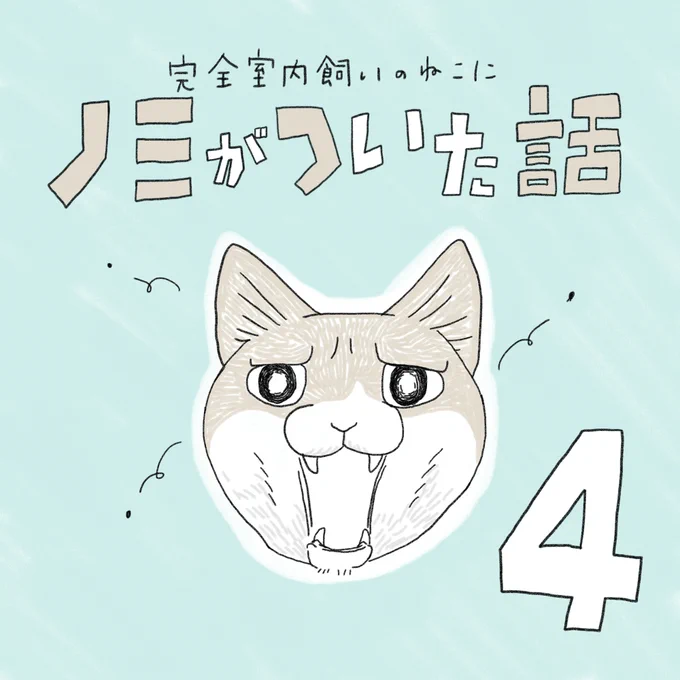 月・火更新中🐌
完全室内飼いのねこにノミがついた話④

次回は来週月曜です! 
