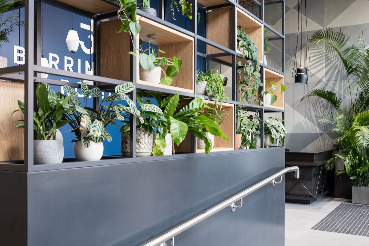 3BarringtonRd tweet media