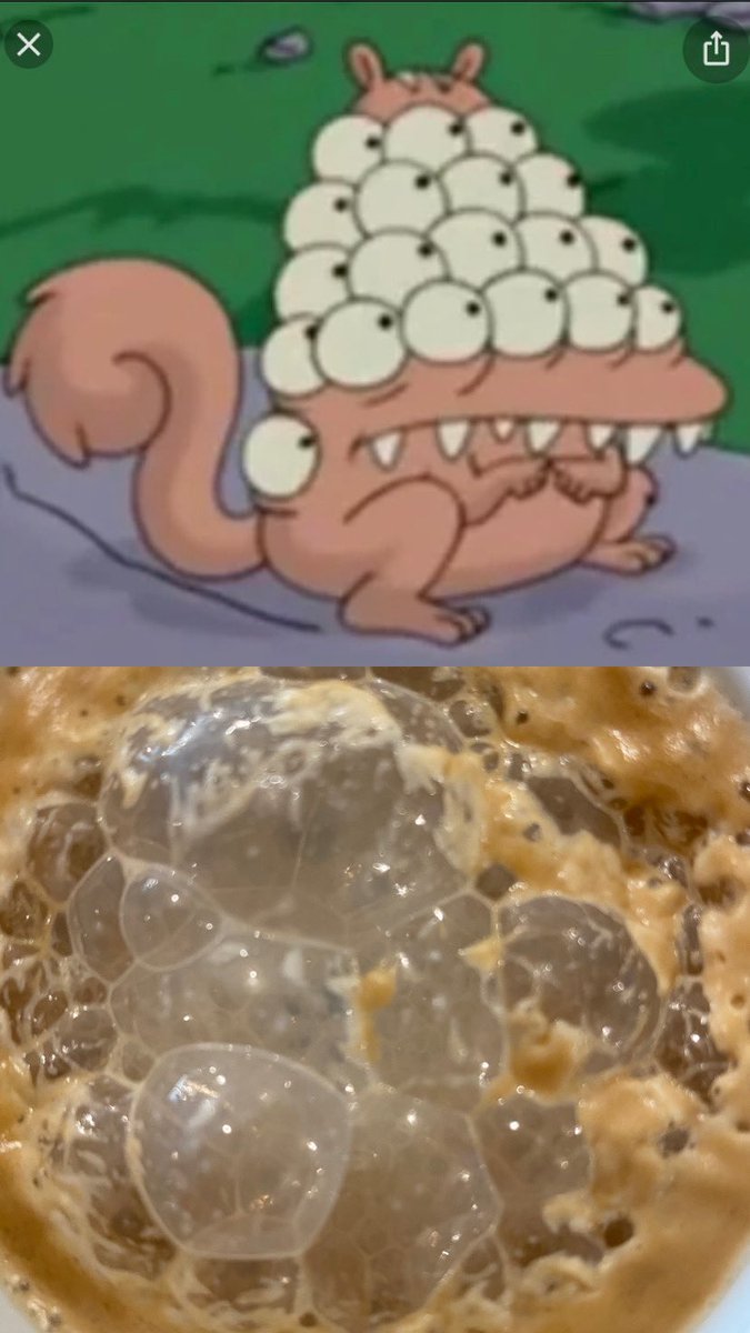 Coffee giving me Simpsons squirrel vibes this morning. FKN almond milk.