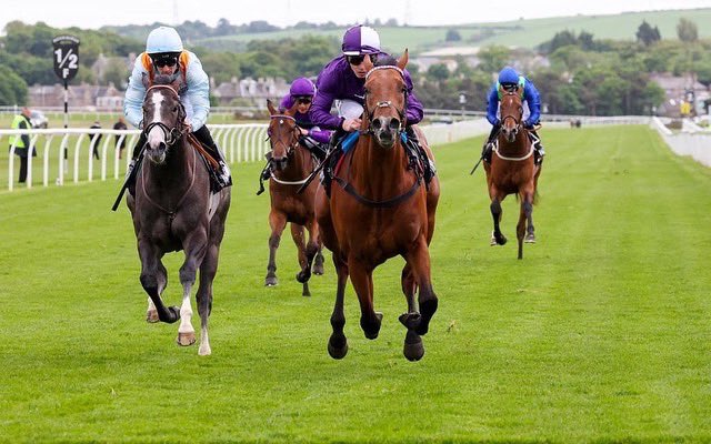 ahaynesracing's tweet photo. Delighted to be heading to our first Royal Ascot. Remarkable Force runs in the Coventry Stakes. Best of luck to my team to all connections @amoracingltd @omnihorse_NFT π€ππΌβ¨
#AHaynesRacing #Colourpin #AmoRacing #RoyalAscot https://t.co/1pOeHvViNk