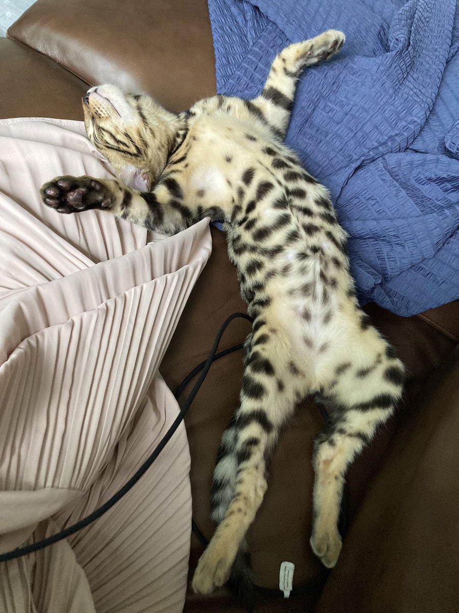 요즘 살맛 안나는데 감자 넌 참 좋겠다 야...
아 이준호 보고싶다
잊프 모아서 야간개장 불러주지그랬어.. 흑흑...