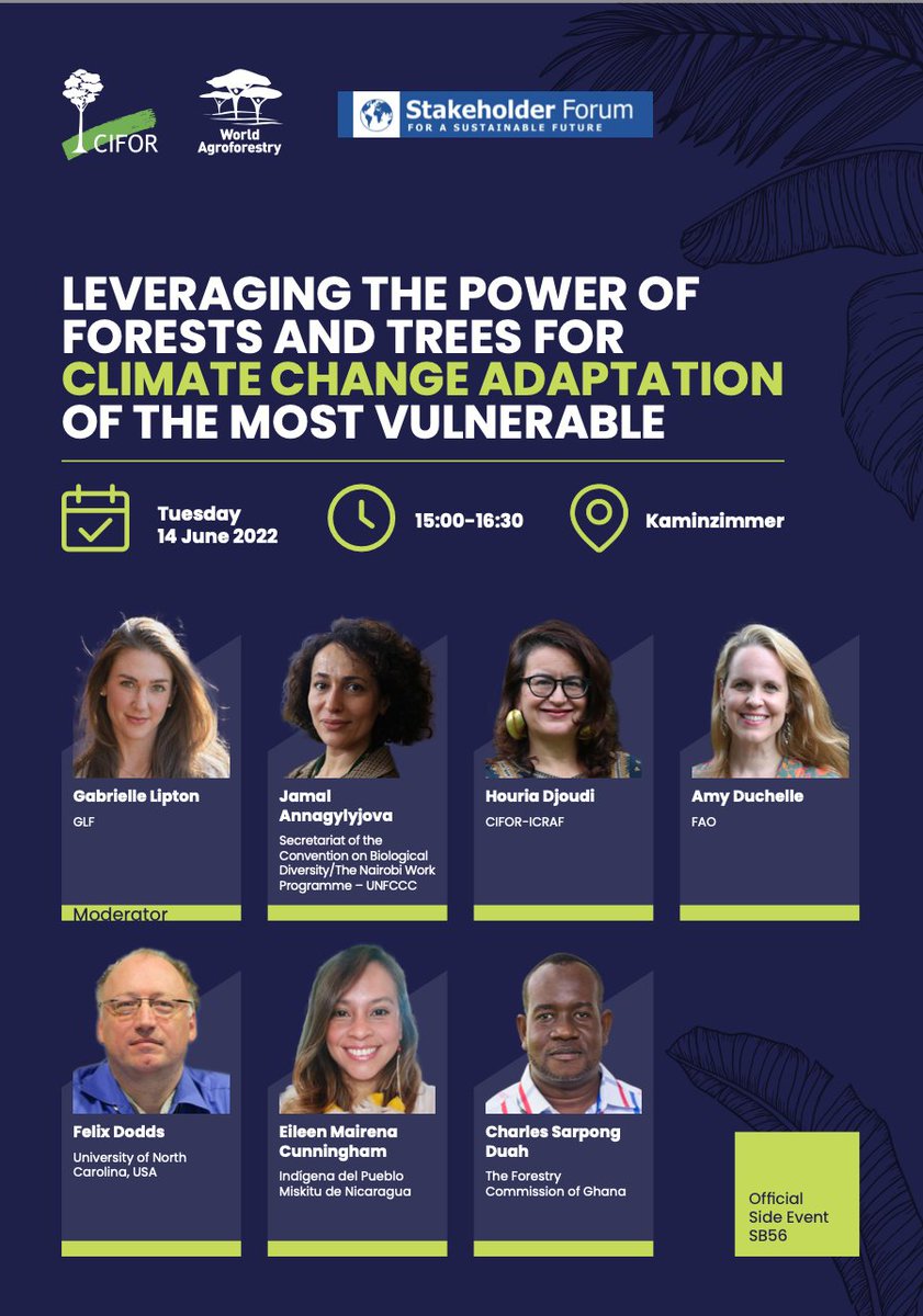 YIL_Initiative's tweet photo. 🔴COMING up today | ⏰03:00 PM CET

Attend this #SBSTA56 session led by @CIFOR-@ICRAF at the #BonnClimateConference to learn how to harness the power of forests and trees for climate mitigation and adaptation.

More information: https://t.co/OPbBEBX1vz

#ThinkLandscape @GlobalLF https://t.co/yglxxc5Tfp