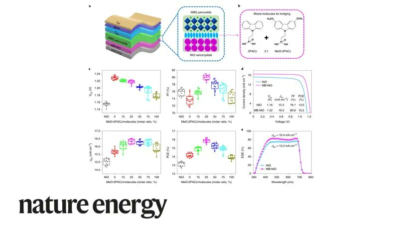 .@hairen_tan, Lijun Zhang and team report use two hole-selective molecules to form a self-assembled monolayer bridged hole-selective contact for flexible #perovskite #solarcells with 24.4% efficiency go.nature.com/3Qd8Clf