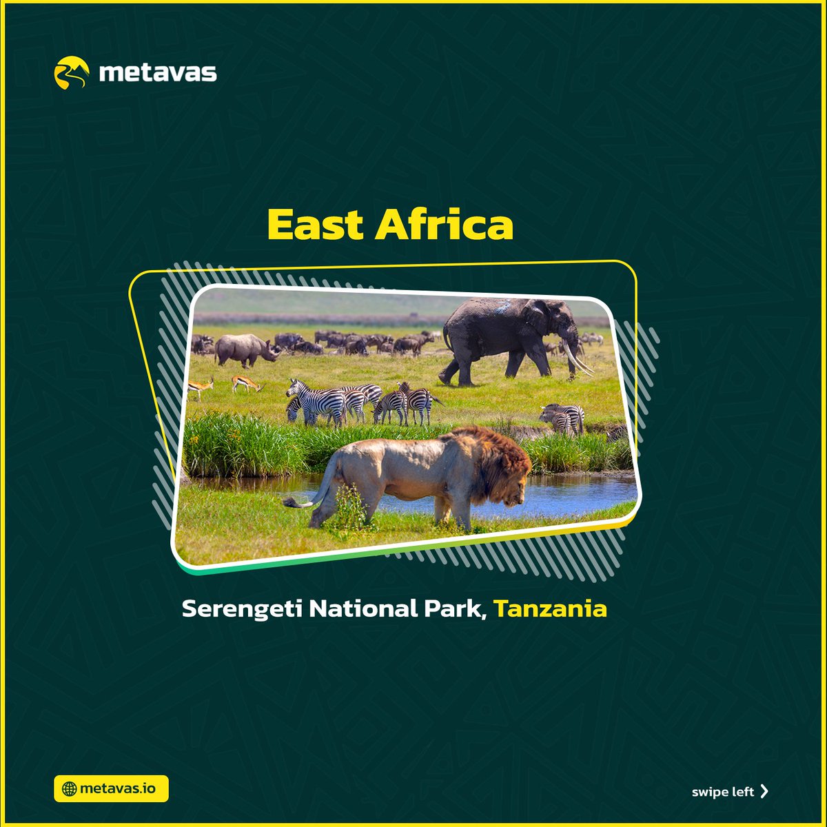 afro_meta_vas's tweet photo. There is a widespread ignorance of the rich and complex history of Africa, MetaVas aims to change this narrative...

Others: Africa has no history 
Me: Hold on, let me show you the beauty of Africa

#prideofafrica #africannftcommunity #africannfts https://t.co/9Vm0noNPZm